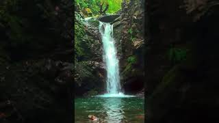 Relájate un Minuto - Pequeña Cascada (Sonido Binaural) #shorts