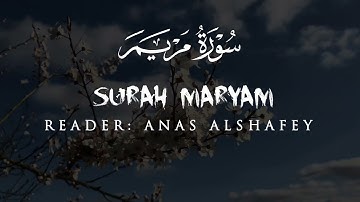 تلاوة هادئة تأخذك إلي عالم آخر 🥺♥️ | سورة مريم | القارئ انس الشافعي
