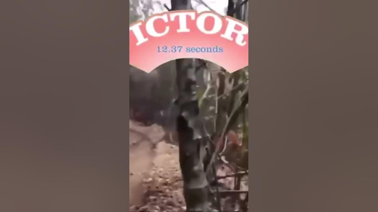 bike-meme-youtube