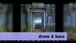 Sub Focus & Wilkinson (feat. Empara Mi) - Freedom (Sub Focus & Wilkinson & High Contrast Remix) Profile