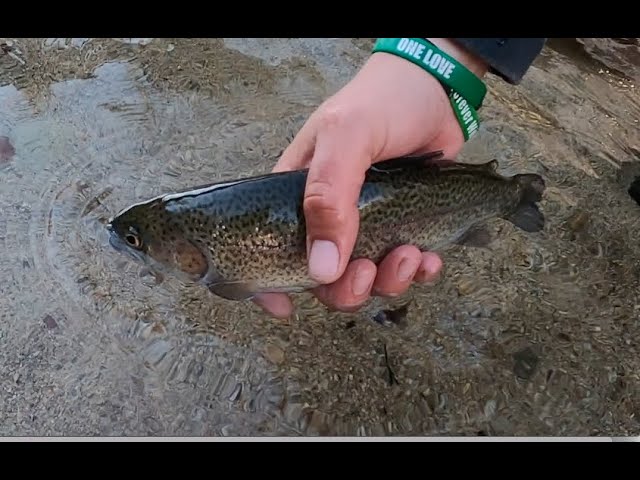 Fall Fly Fishing Wilson Creek North Carolina 