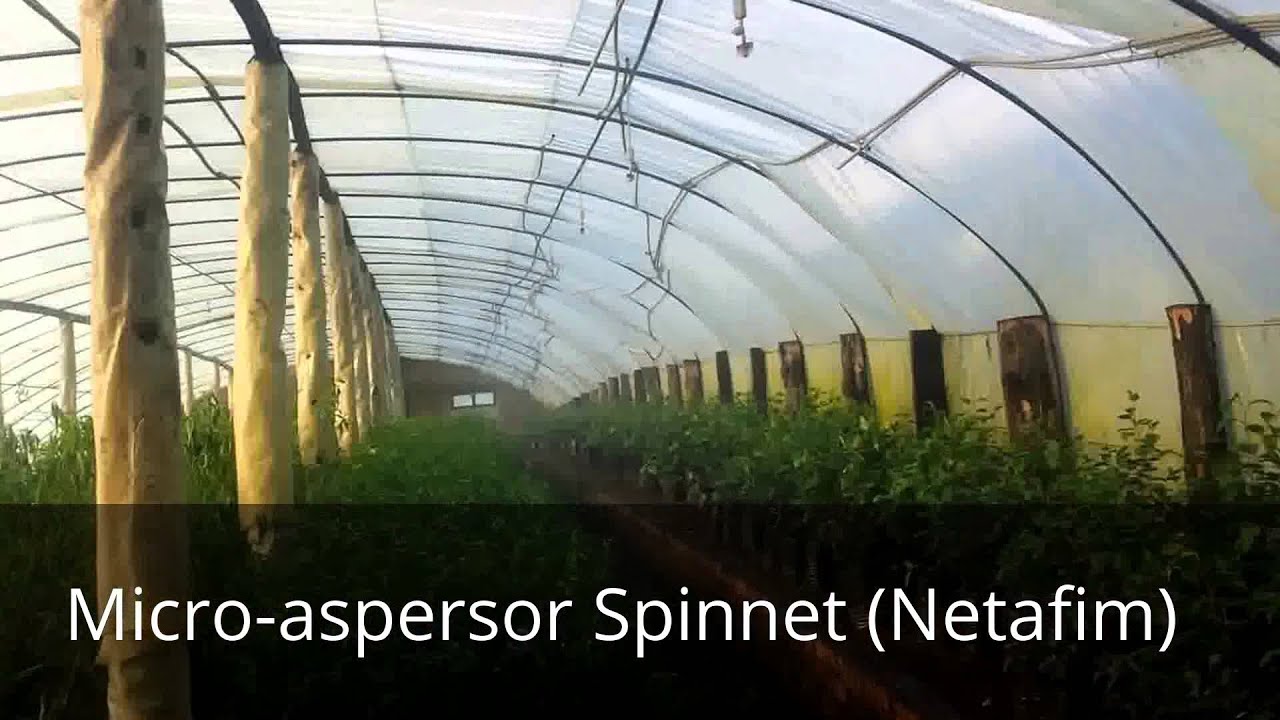 Netafim Meganet Sprinkler And Flexnet Flexible Pipe By Netafim Hungary