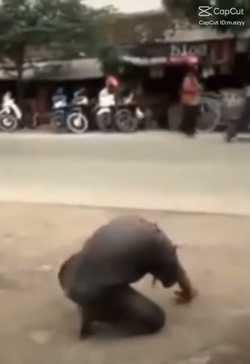 berubah menjadi power rangers🤣 #shortvideo #viralvideo #funny #vidiolucuterbaru #sorotan #jangkauan