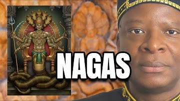 Hebben hindoes de reptielenaanbidding geïntroduceerd?