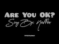 (Lyrics) Are You OK? - Neffex