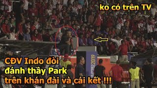 HLV Park Hang Seo nhận thẻ đỏ ngày U22 Việt Nam vô địch và bị Indonesia doạ đánh - DKP bóng đá
