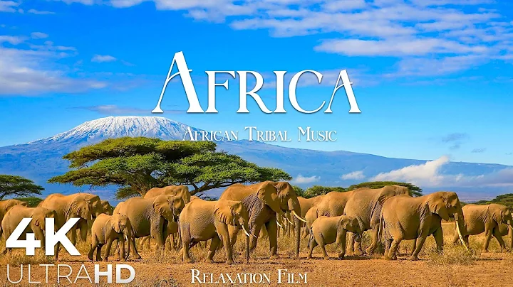 Africa 4K • Nature Relaxation Film – Wildlife & Tribal Music | 4K Ultra HD