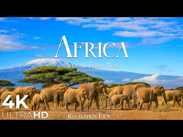 AFRICA 4K • Breathtaking Wildlife, Tribal Music - Relaxation Film - Nature 4k Video UltraHD class=