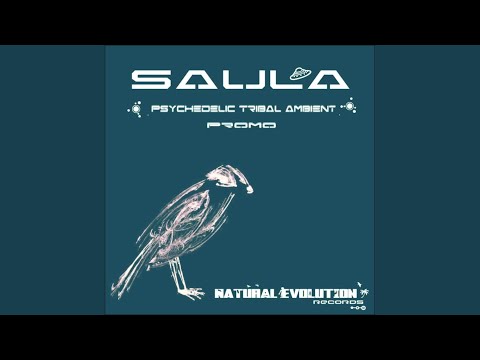 Saula — Volte No Tempo (Original Mix)