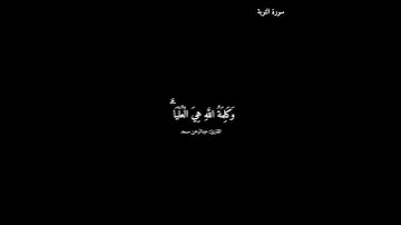 سورة التوبة/ عبدالرحمن مسعد