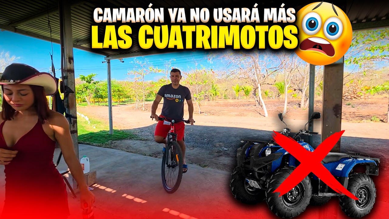 Miren como llegó Camarón donde los Bichos. Están asombrados de Maruca