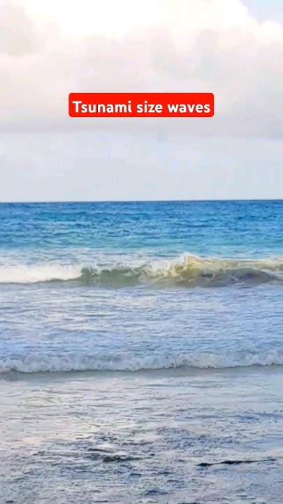 Tsunami live stream in hawaii
