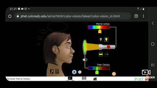 simulasi Phet_Color Vision