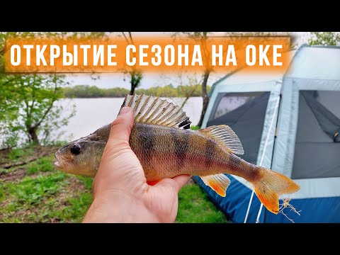 Видео: Отдых и рыбалка на Оке. Открытие сезона 2023 с ночевкой. РЫБА клюет! | camping and fishing 4K