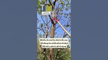 Kéo cắt cành trên cao MD-20 #xuhuong #thapxanh #keocatcanh #reels
