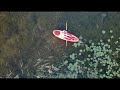 Largemouth Bass &quot;Catch and Cook&quot; Minnesota