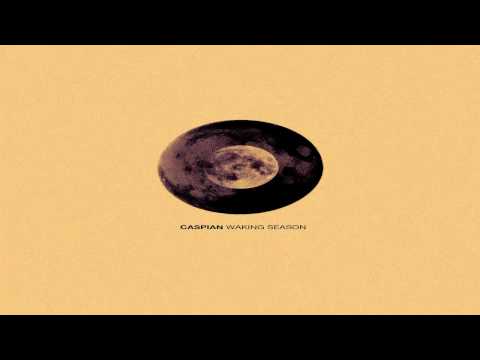 Porcellous Video