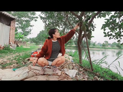 Single Mom #10 |Beautiful single mom picks and eat fruits from tree