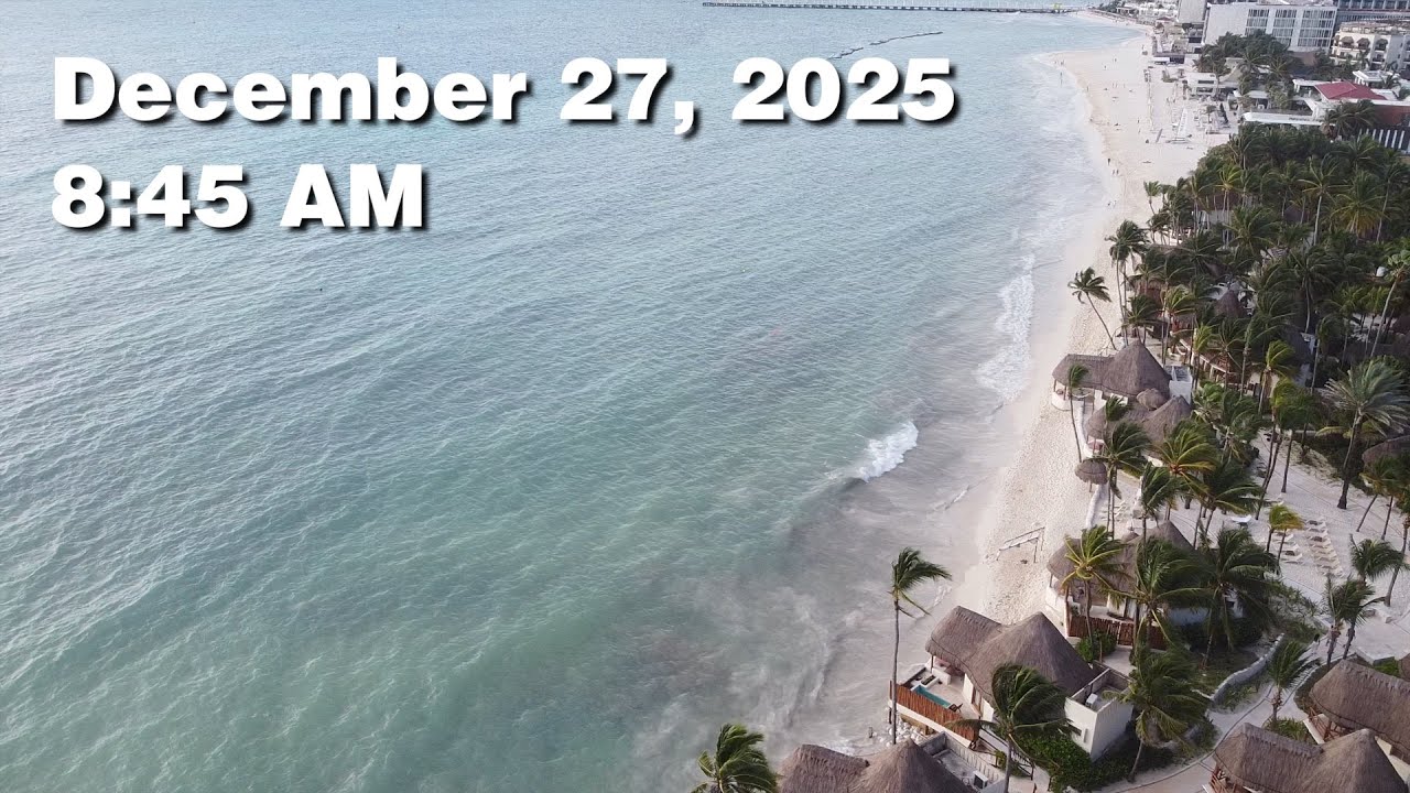 Daily Sargassum Sargasso Seaweed Report at Playa del Carmen, Mexico - December 27, 2025 