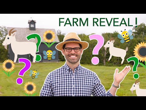 Farm Update and Reveal!