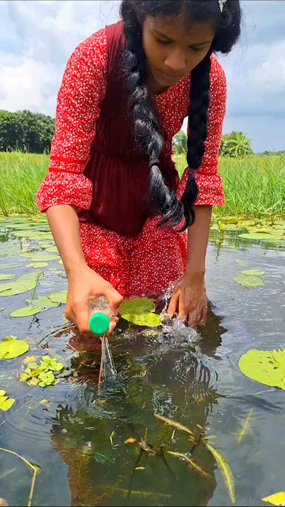 Amazing Village Girl Catching Big Catfish by bottle hook #fishvideo #hookfishing #fishing #bigfish