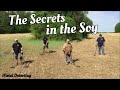 The Secrets in the Soy - The Savory Taste of Metal Detecting is a BUCKET LIST Coin in Your Hand!