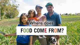 Foodwise Kids: Where Does Food Come From?