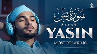 Download Lagu Surah Yaseen | Qari | Saud Muhammad Al-Fayez 🎙🎧 MP3