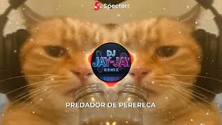 Predador De Perereca tiktok Trend   Dj Jay Jay Remix