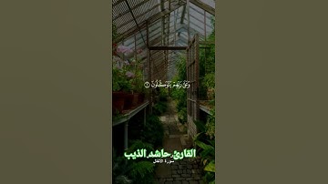 القارئ حاشد الذيب #اكسبلور #السعوديه #المصحف #دويتو #الرحمن حاشد الذيب انما المؤمنون الذين اذا ذكر