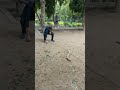 #funny #naturelovers #nature #fun