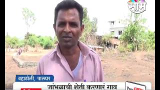 Information about jamun farming in Palghar