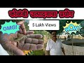 कोळंबी उत्पादनाचा प्रयोग | prawns farming | fish farming | namdev patil | taloja | maharashtra