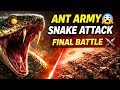 👉 “जब हजारों चींटियों ने साँप को हरा दिया 😱 | Ant vs Snake Battle | Jungle Story Hindi” #antvssnake”