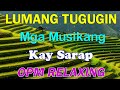 Opm Hits Love Songs Pamatay Puso -Asin, Eddie Peregrina, Willy Garte - Lumang Tugtugin 60s 70s 80s