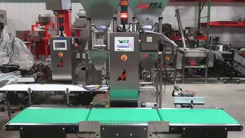 Checkweigher Model PW/12 | Feature: Dual Reject | Pouches