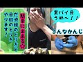 黒ばい貝の1番安全な唾液腺の取り方と中身の出し方！煮付け作ります☆