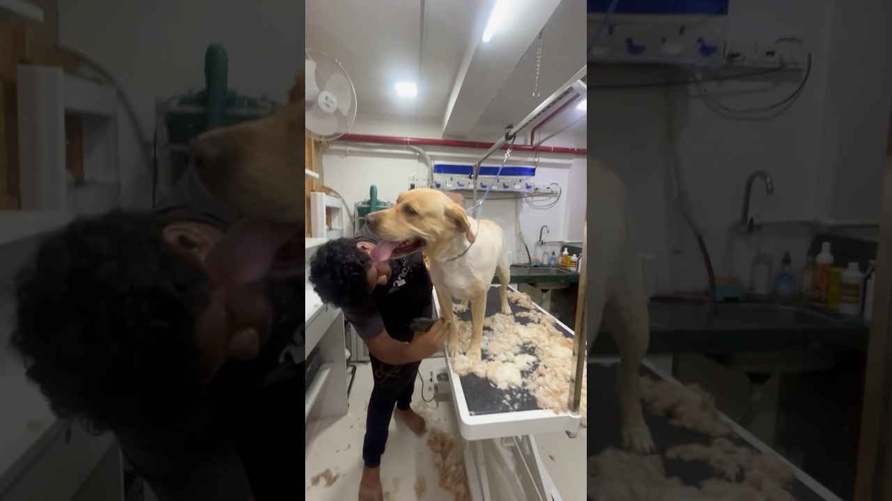 Grooming Day || Vlog by Indiegal 💜 