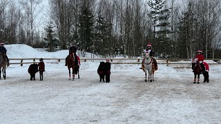 Meidän tallin joulukulkue 🎄