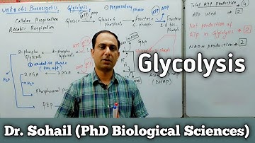 Reactions of Glycolysis | Cellular Respiration | 11th Biology | MDCAT Biology | Dr. Sohail