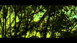 The Eagle Movie Trailer Feb 11 (HD)