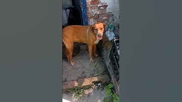 video 2024 07 04 08 06 05