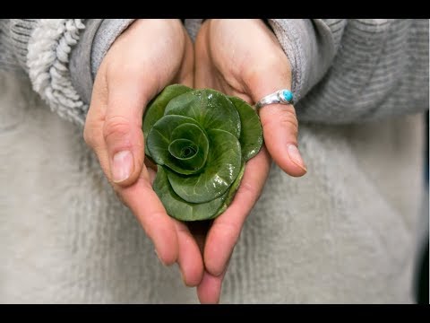 Crowdfunding Video Hridaya Yoga France tantra books