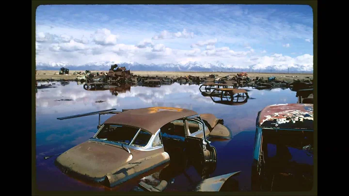Sara Neale Decline of America