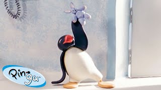 Pinga's Lost Rabbit 🐧 | Pingu - Official Channel | Cartoons For Kids