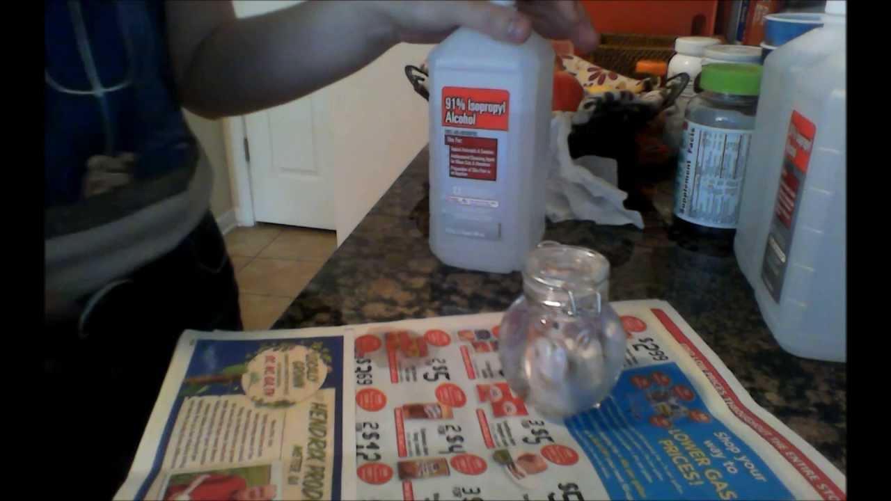 Quick & Easy Wet Specimen How To! YouTube