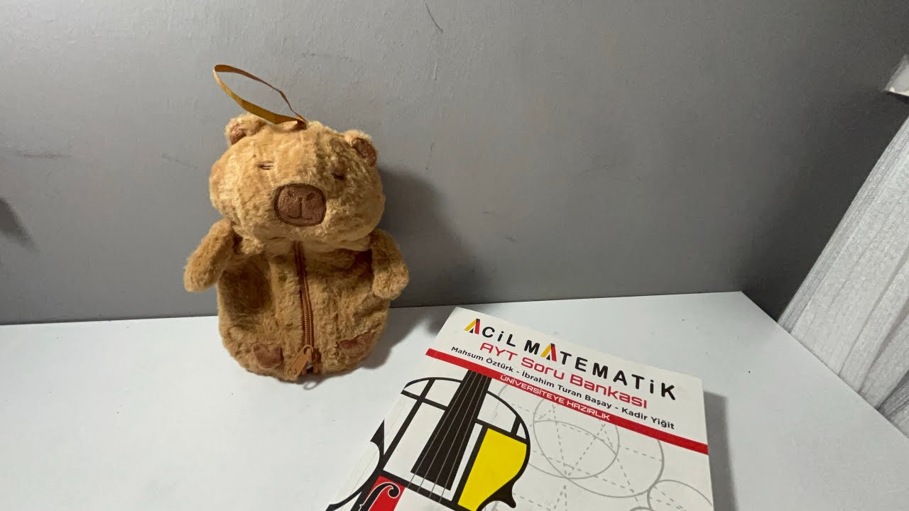 kapibara kalemlik ve ayt mat #yks26 #mezun 