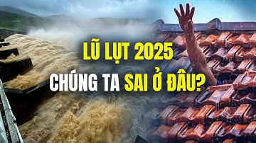 Thiệt Hại Lũ Lụt 2025: Từ "Bom Nước" Tây Nguyên Đến Đô Thị Biển Ngập Lụt, Chúng Ta Đã Sai Ở Đâu