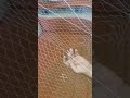 تصليح شبكة السليه تصليح شبكة السليه