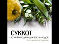 Еврейский взгляд: «Суккот - Божий праздник для всех народов» Гость Олег Сухацкий